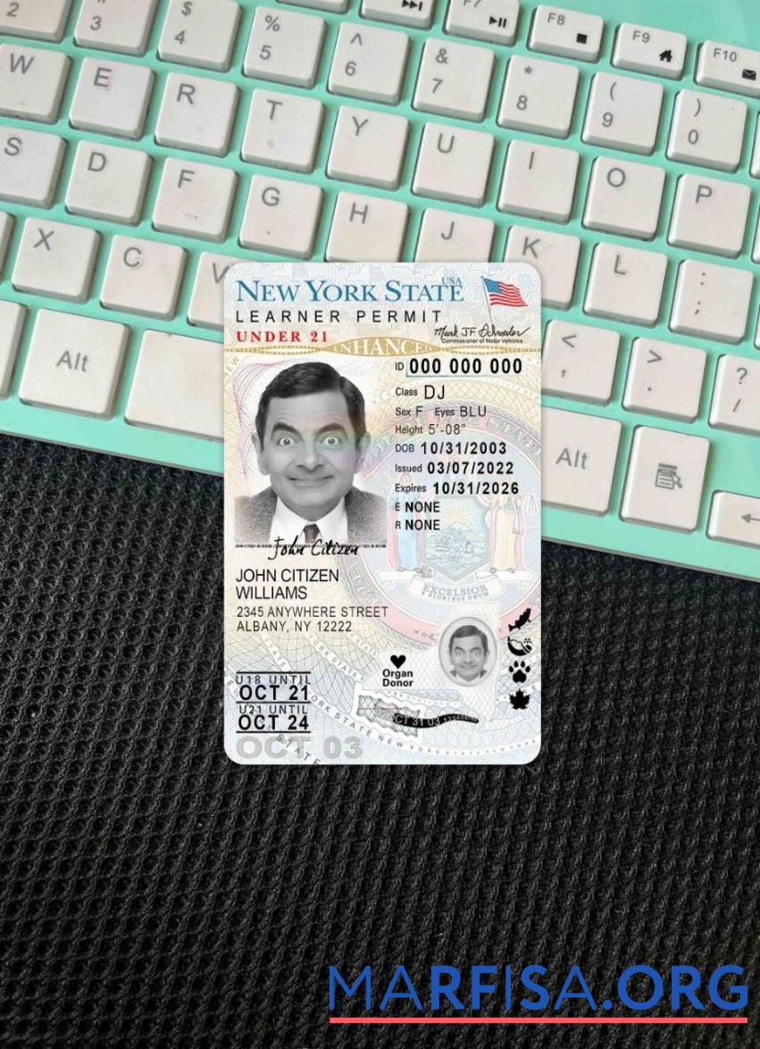 Blank USA New York driving license under 21 (version 2) photolook template